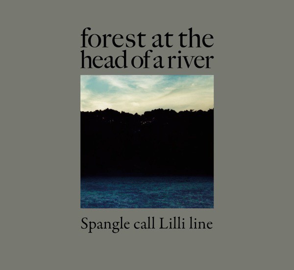  - forest at the head of a river