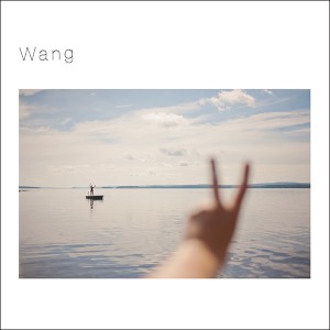王舟 「Wang LP」