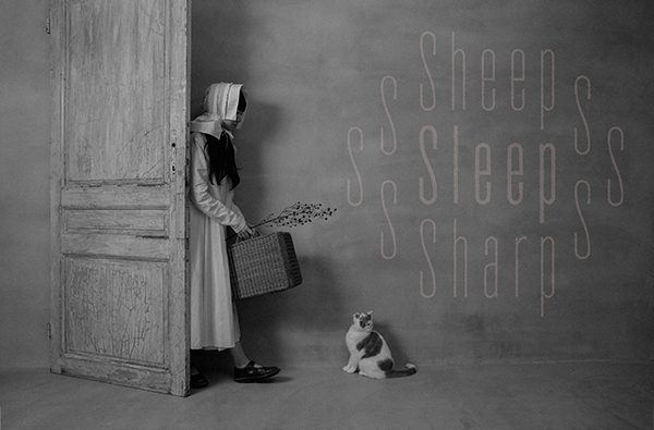 sheep sleep sharp